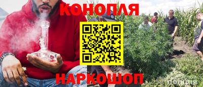крисы Тулун