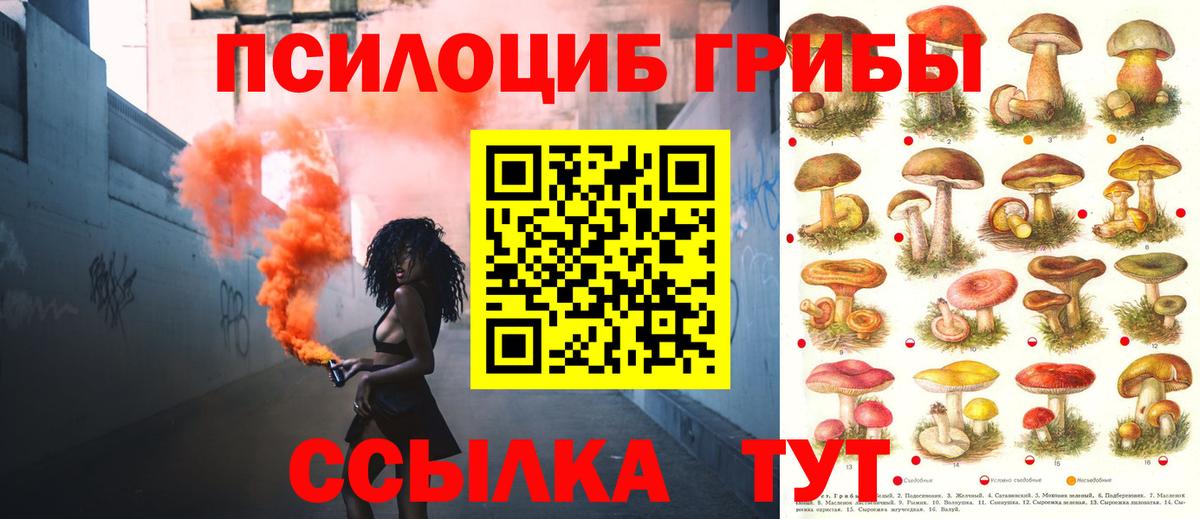 Псилоцибиновые грибы Psilocybine cubensis Нурлат